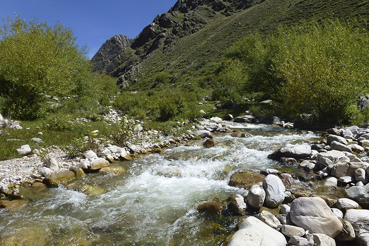 Estudio y Proyecto de Pequeños Aprovechamientos Hidroeléctricos (PAH) en la Provincia de Salta